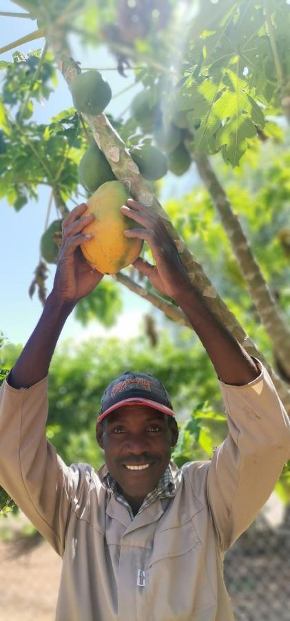 Etotongwe Lodge Outjo Bagian luar foto